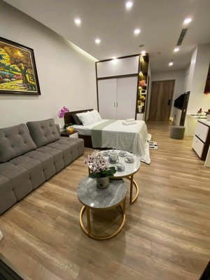 mời thuê căn studio 33m2 đủ đồ view tầm trung toà r1 onsen ecopark. lh ạ