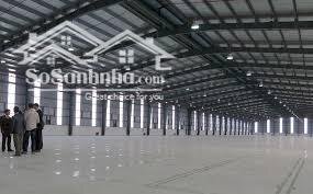 Cho thuê kho mới 100% KCN Vsip 2, BD. DT kho từ 5000m2- 7500m2- 15.000m2