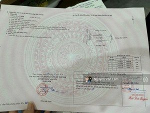 bán lô đất đẹp 80,3m2 1 ngoặt từ 203 vào 50m - đường thông tại hoa động siêu tiềm năng