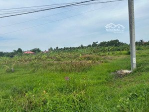 cần bán gấp đất mtđ ấp phú hữu,hữu đình,châu thành,bến tre,gần trường thcs,500tr/120m2 shr