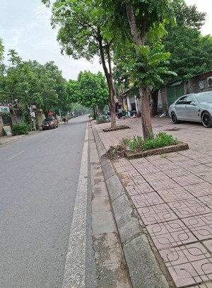 nhà phố - kinh doanh tốt - 52m2