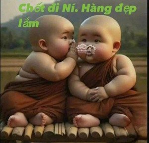 1 tỷ 480 triệu nhà 1 lầu trần đại nghĩa , bình chánh: 3 pn, 2 nhà vs 80m2