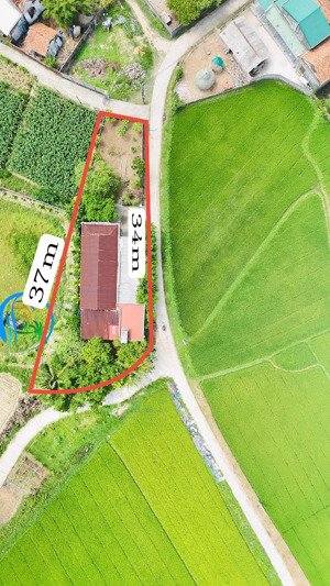 nhà vườn giá rẻ gân. biển mỹ khê quảng ngãi 550mv có 200 ont giá hơn tỷ bạc