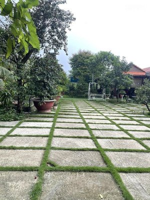 nhà vườn nghĩ dưỡng tp hcm 1667m chỉ 15ty bao vip