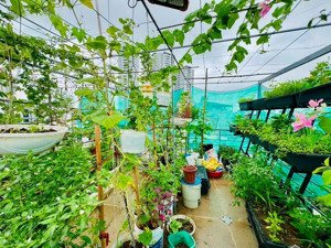 bán căn thổ cơ tân mai. nguyễn chính. ô tô ngủ trong nhà. lô góc toàn ánh sáng 45m x 6 tầng 12.3 tỷ