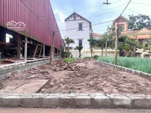 siêu phẩm đất tự nhiên thường tín dt 58m2. mt 4m. hậu 4.75m (nở hậu) đường trước đất 5m ô tô