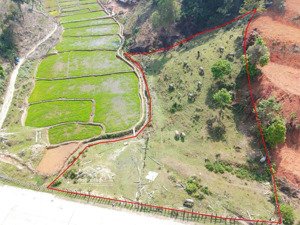 bán đất tại thị trấn măng đen, kon plông, kon tum, 1 tỷ, 2000 m2 bám đường .cách ngã tư xã hiếu 1km