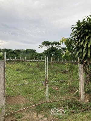 bán nhanh lô đất cực phẩm ngay mặt tiền đường đinh công tráng, 2000m2 có tc