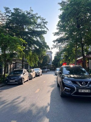 chính chủ cho thuê biệt thự vị trí vip đẹp khu ngoại giao đoàn, dt 300m, lô góc