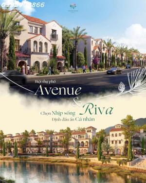 Chính thức nhận Booking khu VALLEY TOWN tại THANH XUAN VALLEY - ĐẠI LẢI.