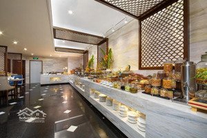 bán gấp khách sạn mặt phố báo khánh, 120m, mặt tiền 7m, 12 tầng . 99 tỷ