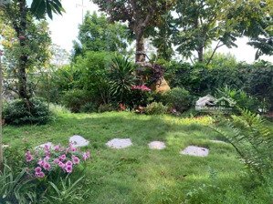 biệt thự khai sơn hill 290tr/m2. dt 275m2, 4 tầng, mt 16m. tặng lại nội thất 5tỷ. giá cực tốt lb