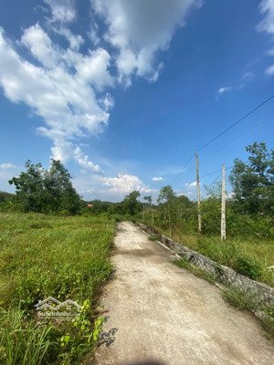 bán đất thổ cư đường bê tông thị trấn tân khai bình phước. dt:5*46. giá 520 triệu