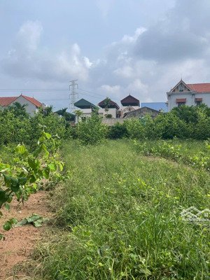 lô đất vuông view sông ô tô vào tận nơi gần chợ đầu mối đông tảo, giá chỉ hơn 2x tr/m2!