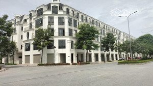 chỉ hơn 20 tỷ xíu lk hinode rayer park ,hoài đức, đường 30m kinh doanh, căn góc 3 mặt thoáng