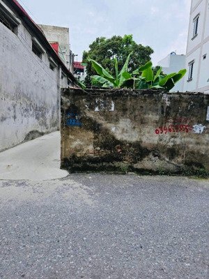 bán gấp đất liên ninh ô tô tránh ,lô góc ,kinh doanh đỉnh giá 17.2 tỷ