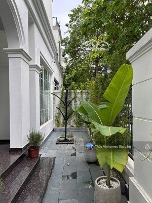 giá sốc!cho thuê biệt thự song lập có thang máy, sát biển hồ nước mặn, nội thất thiết kế sang trọng