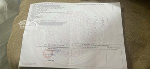 bán đất tại sơn đông, 2,05 tỷ, 60m2, mặt tiền 4m, ngõ 6m, pháp lý đầy đủ, hàng hot