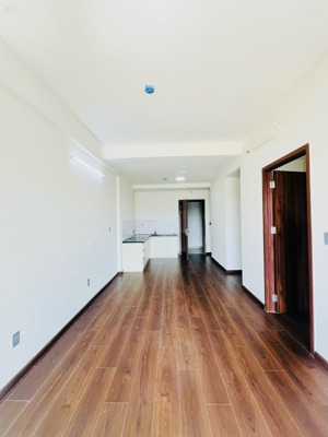 cho thuê căn hộ 2pn diện tích 63m2, miễn phí quản lý, có rèm