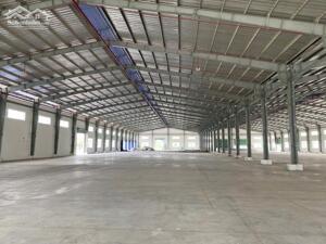 Cho Thuê 5.900m2 Nhà Xưởng Trong KCN TP Mới Bình Dương PCCC Tự Động