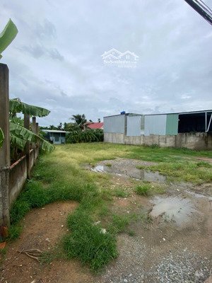 bán nhanh lô đất gần chợ vĩnh lộc a, đ. quách điêu, vĩnh lộc a, bình chánh, 102m2, sổ riêng