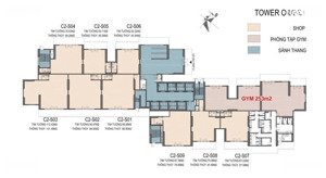 bán shophouse khối đế tòa c2 khu căn hộ d''capitale, trần duy hưng