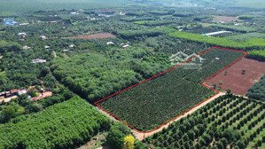 bán 28000m2 đất sông xoài, 230m mặt đường, hơn 2000m2 thổ cư, đất bằng phẳng