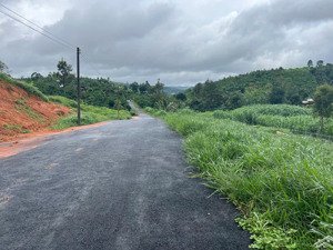 mở bán đất nền giai đoạn 1 công ty uy tín nhất bảo lâm giá 500tr - gốc chủ đầu tư alo em ngay