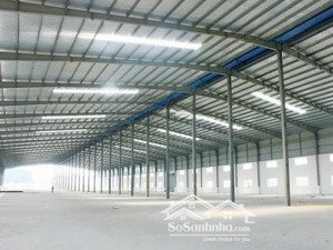 cho thuê nhà xưởng 10.000m2, 12.000m2, 15.000m2 kcn bàu bàng, kcn tân bình, bàu bàng, bình dương