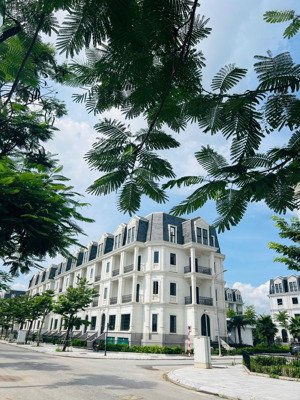 lk mặt tây đường 17,5m mặt công viên giá siêu tốt, chính chủ gửi bán gấp giá chỉ 48 tỷ