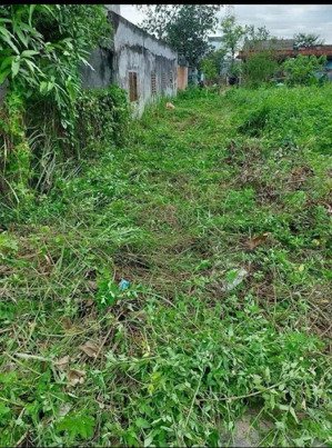 bán đất tại xã an vĩnh ngãi, tân an, long an, 511 triệu, 125 m2