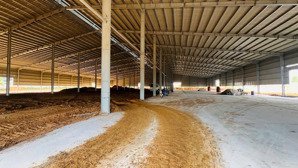 xưởng tân uyên bình dương trong và ngoài khu công nghiệp 4000m2 5000m2 6000m2 8000m2 10000m2
