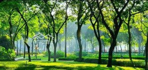 sở hữu căn hộ celadon city chuẩn sống xanh giữa lòng tân phú pháp lý rõ ràng, tiện ích đủ đầy
