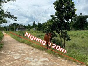 Bán lô góc Khánh Đông giá rẻ mặt tiền đường liên thôn - đầu tư phân lô