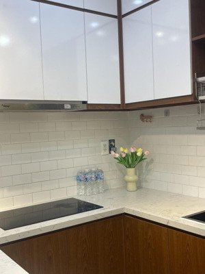 chính chủ bán 2pn2wc galaxy 9 có sổ hồng q4