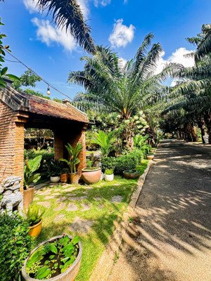 đất siêu hiếm võng thị 186m2 mặt tiền 12m giá đầu tư