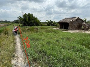 ông anh cần tiền bán lại 1000m đường xe máy tờ 30 phú đông,nhơn trạch.có 30m mt đường lh 