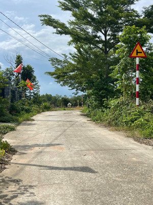 cần tiền bán gấp 2 sào đất cây lâu năm suối nhum ( hắc dịch ) phường tân thành. tp hcm
