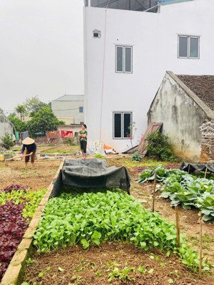 bán đất gần đường ql32 thị trấn phúc thọ. ngõ nông, cách đường ô tô 15m. giá đầu tư 1.66 tỷ