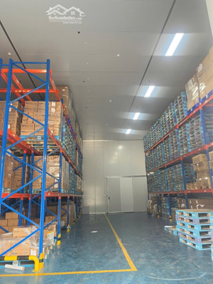 cho thuê kho xưởng mt lunh xuân;phường lx;tp.thủ đức