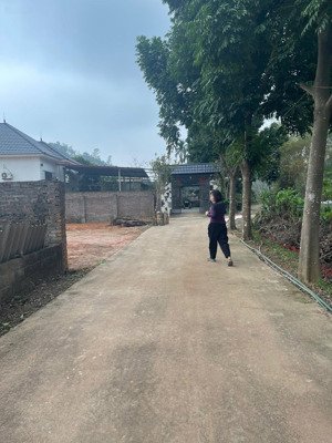 bán đất quốc lộ 2b, kim long, tam dương, vĩnh phúc, 1,56 tỷ, 130m2 giá ưu đãi