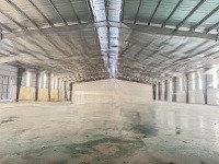 chính chủ cho thuê kho xưởng tại kcn cầu gáo, đan phượng. dt 3000m2, đủ pccc. giá 250tr, 