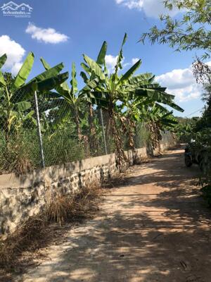 Đất Vườn Giá Tốt 1.300m² – Sổ Riêng, Gần TP.HCM, View Suối Đẹp