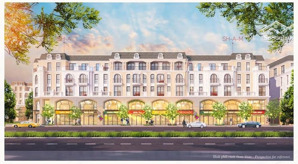 phù hợp đầu tư - shophouse 2 mặt tiền - 1 mặt đối diện trường học - 1 mặt đối diện tt thương mại