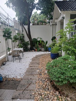 cho thuê hoặc hợp tác kd biệt thự góc 2mt đường thảo ly, dt 12x20m, trệt 2 lầu.