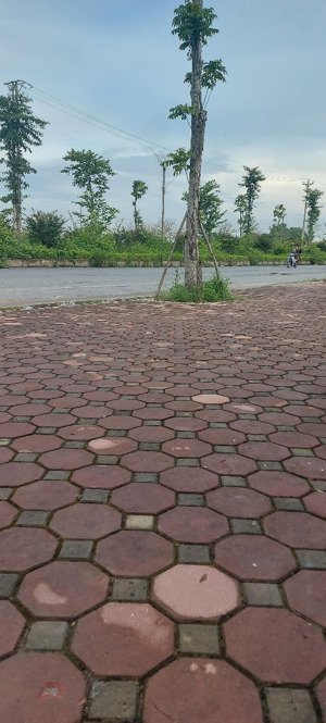 chính chủ cần bán nhà mặt phố đẹp quốc oai ở sướng, kinh doanh lãi