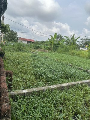 nhỉnh 1 tỷ lô đất vuông vắn ô tô đỗ cửa tại tự nhiên, thường tín 
