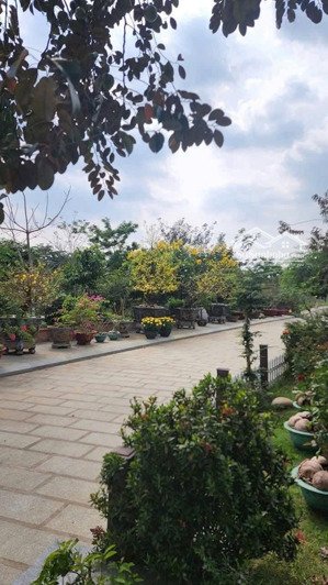 bán biệt thự vườn diện tích 4000 m2 giá 65 tỷ, gần khu đông tăng long, quận 9, tp thủ đức