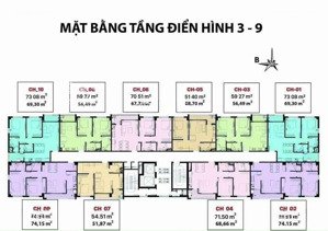 cho thuê căn hộ chung cư lavender