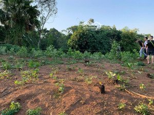 bán lô đất view đẹp sát dự án sun, bám hồ, oto tận nơi, phù hợp đầu, giá hơn tỷ xíu